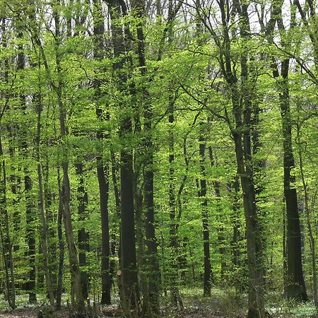 Ferienwohnungen Fischer Strullendorf Buitenkant foto