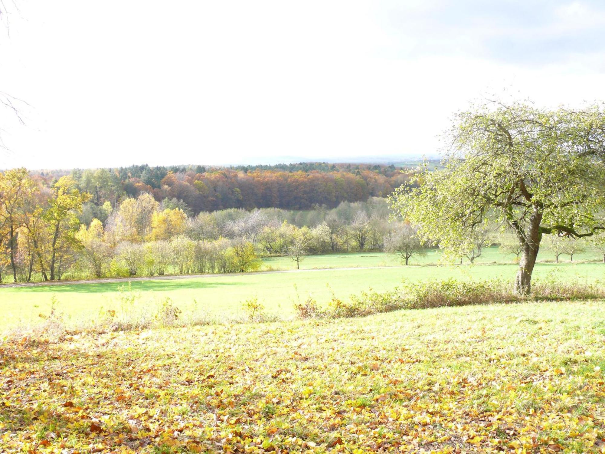 Ferienwohnungen Fischer Strullendorf Buitenkant foto